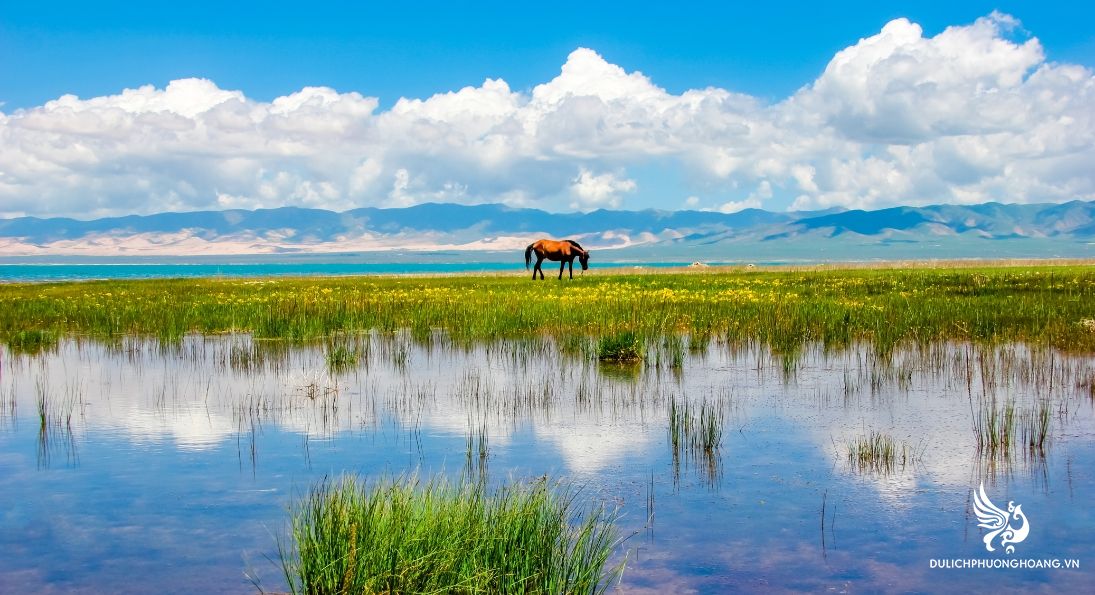 tour-cam-tuc-thanh-hai-8n7d-bay-thang-charter-vu-airlines_6