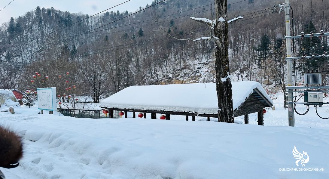 tour-ha-noi-thanh-do-cap-nhi-tan-yabuli-lang-tuyet-huong-6n5d-bay-3u_13