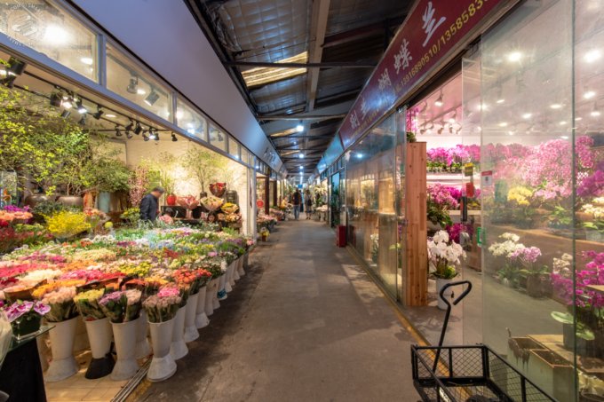 Chợ hoa Đấu Nam (Côn Minh) - Chợ hoa lớn nhất Châu Á
