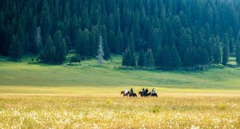 ho-sayram-tuyet-tac-giua-nang-gio-tan-cuong