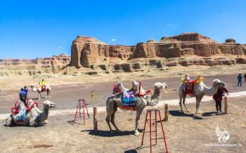 top-7-cong-ty-chuyen-tour-du-lich-tan-cuong-dang-lua-chon