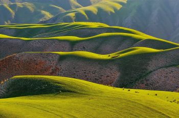 Yining - Điểm đến cho những người ưa khám phá và trải nghiệm yining-diem-den-cho-nhung-nguoi-ua-kham-pha-va-trai-nghiem