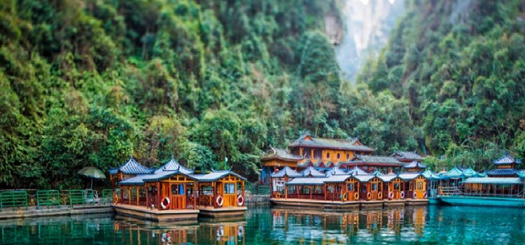 Tìm hiểu về Hồ Bảo Phong