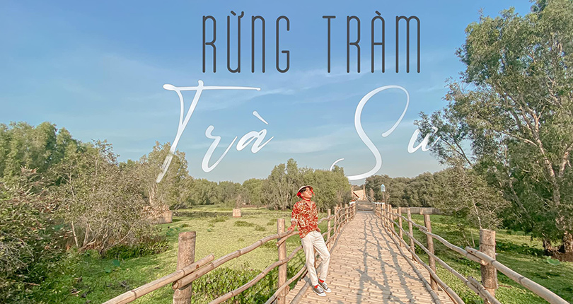 rung-tram-tra-su-an-giang