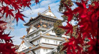 cung-duong-vang-nhat-ban-bay-vna-6n5d-ha-noi-–-tokyo-–-hakone-–-kyoto-–-osaka