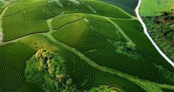 du-lich-lien-tuyen-ha-noi-mai-chau-moc-chau-son-la-dien-bien-lai-chau-sapa-ha-long