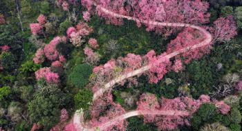 tour-du-lich-chiang-mai-mae-hong-son-5n4d