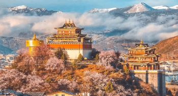 tour-du-lich-con-minh-dai-ly-le-giang-shangrila-8n7d-tu-sai-gon