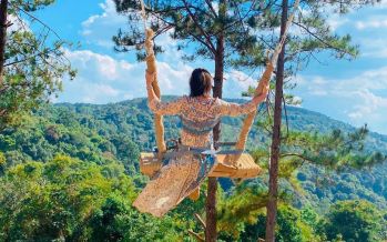 tour-du-lich-ha-noi-da-lat-tron-goi-3-ngay-2-dem-bay-vj