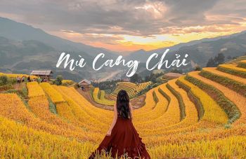 tour-du-lich-ha-noi-mu-cang-chai-mua-lua-chin-2-ngay-1-dem
