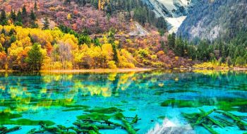 tour-du-lich-ha-noi-nam-ninh-thanh-do-lac-son-dai-phat-tung-phan-co-tran-xuyen-chu-tu-cuu-trai-cau-7-ngay-6-dem