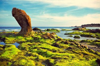 tour-du-lich-mien-nam-ha-noi-sai-gon-phan-thiet-mui-ne-4-ngay-3-dem
