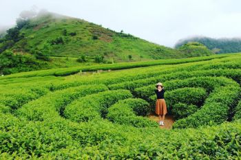 tour-du-lich-moc-chau-2-ngay-1-dem