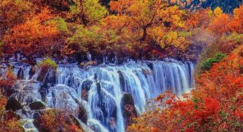 tour-du-lich-nam-ninh-thanh-do-cuu-trai-cau-bay-noi-dia-6n5d
