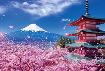 tour-du-lich-nhat-ban-ngam-hoa-anh-dao-tokyo-nui-phu-sy-nagoya-kyoto-osaka-6-ngay-5-dem