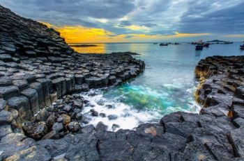 tour-du-lich-quy-nhon-1-ngay-thuong-thuc-dac-san-tai-dam-o-loan