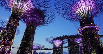 tour-du-lich-singapore-2024-bay-vietjet-air