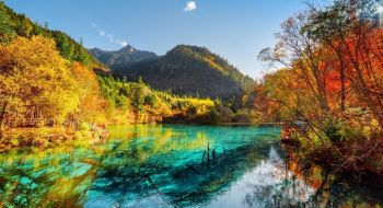 tour-du-lich-thanh-do-nga-mi-son-lac-son-dai-phat-cuu-trai-cau-bay-thang-vna