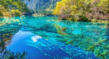 tour-du-lich-trung-khanh-cuu-trai-cau-thanh-do-6-ngay-5-dem-