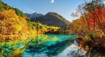 tour-trung-khanh-thanh-do-cuu-trai-cau-6n5d