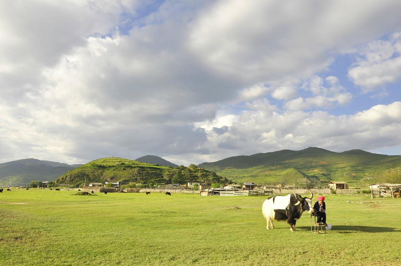 thao-nguyen-shangrila-higotravel