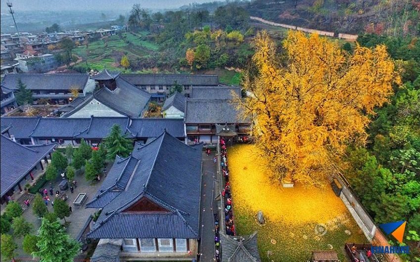 Tây An – Cái Nôi Văn Hóa Trung Hoa